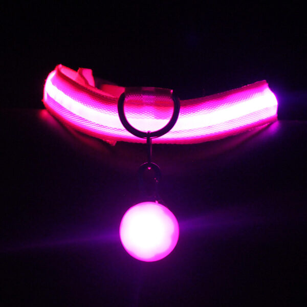 Pet Supplies Dog Collar Luminous Fashion - Image 4