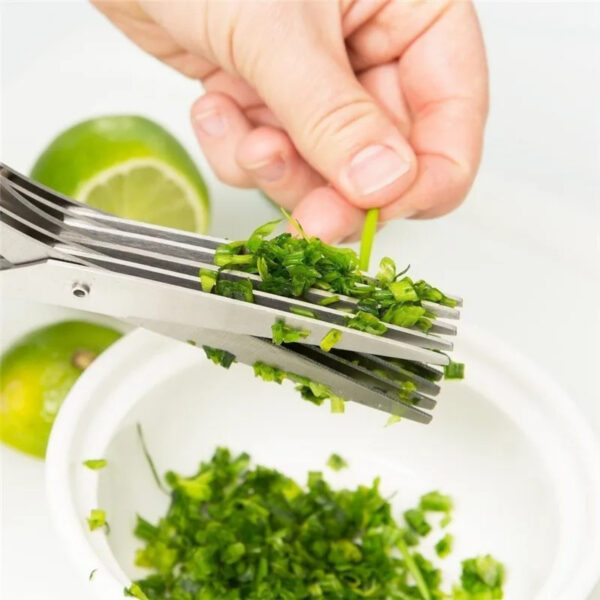 Multifunctional Multi-layer Green Onion Scissors Stainless Steel Onion Cutting Knife Herb Seaweed Spice Scissors Kitchen Scissor Kitchen Gadgets - Image 6